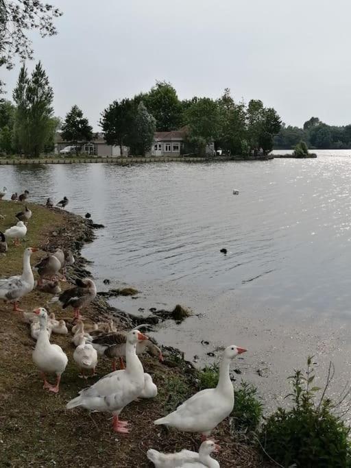 Appartamento Fadil Valenciennes Esterno foto